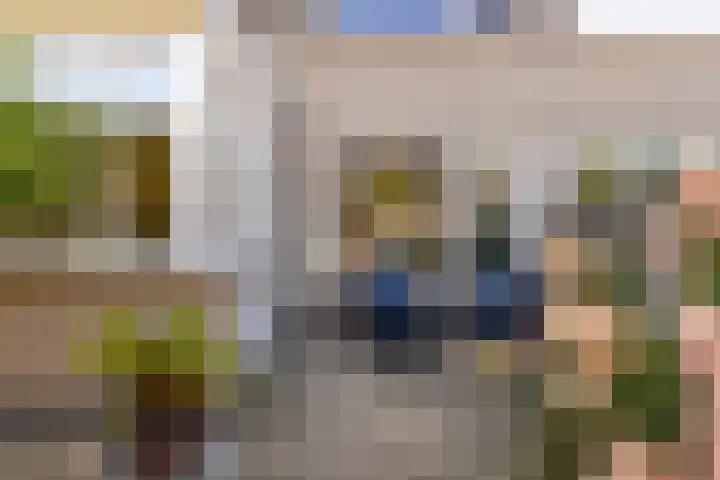 Wieringermeerlaan 14 Eindhoven thumbnail 31