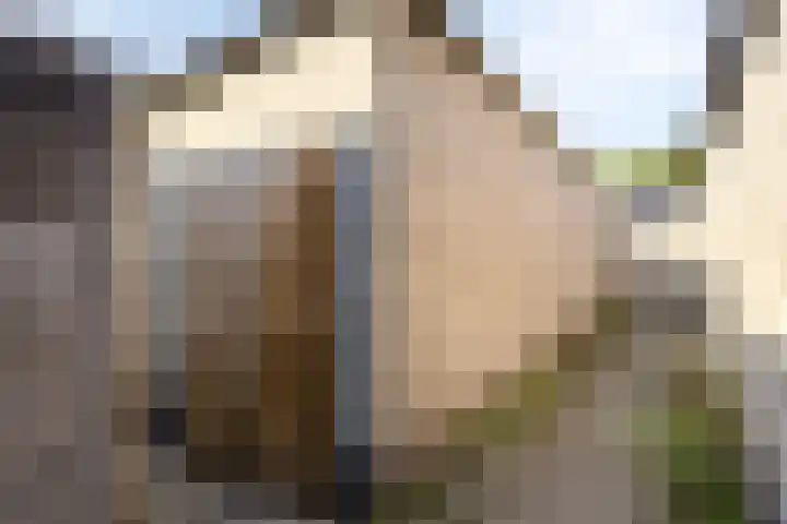 Wieringermeerlaan 14 Eindhoven thumbnail 32