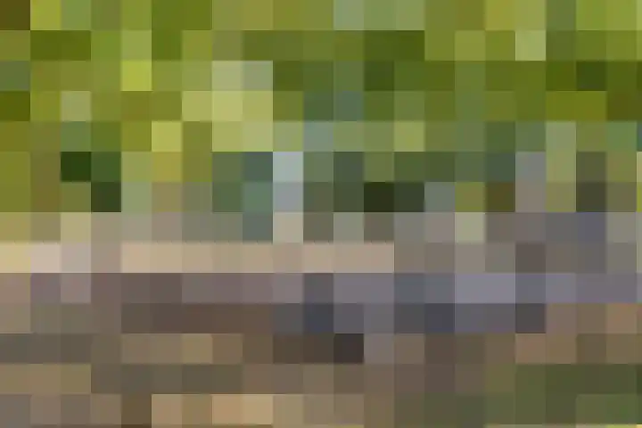 Wieringermeerlaan 14 Eindhoven thumbnail 33