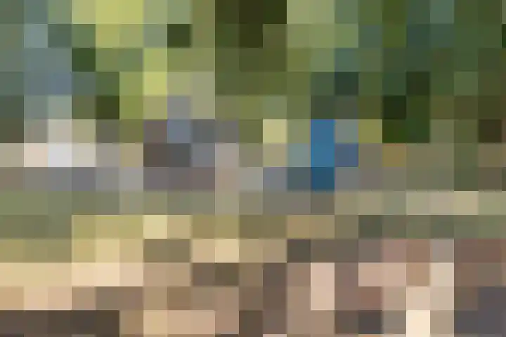Wieringermeerlaan 14 Eindhoven thumbnail 34