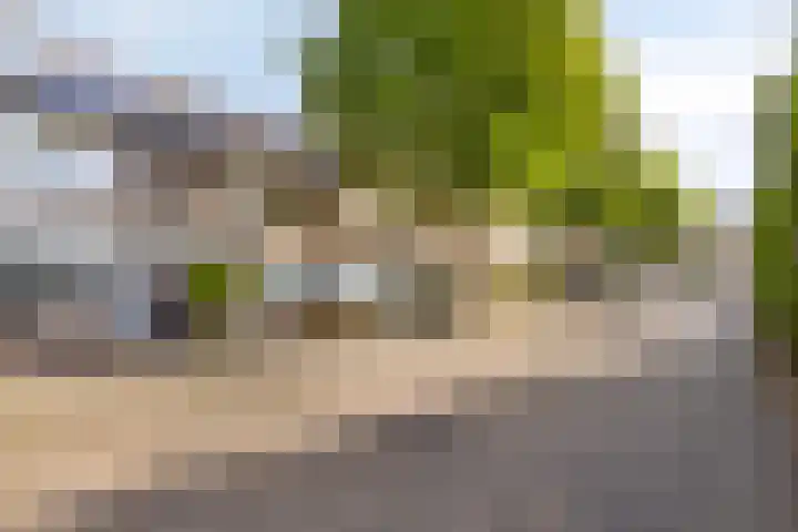 Wieringermeerlaan 14 Eindhoven thumbnail 38