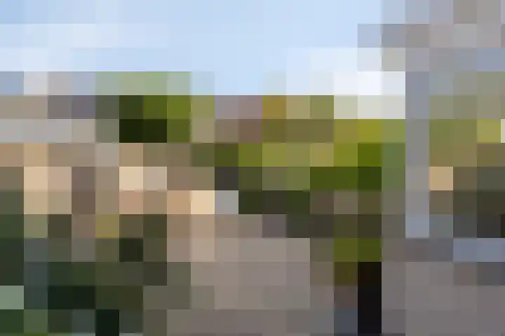 Wieringermeerlaan 14 Eindhoven thumbnail 4