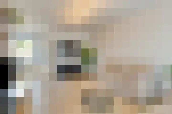 Wieringermeerlaan 14 Eindhoven thumbnail 8