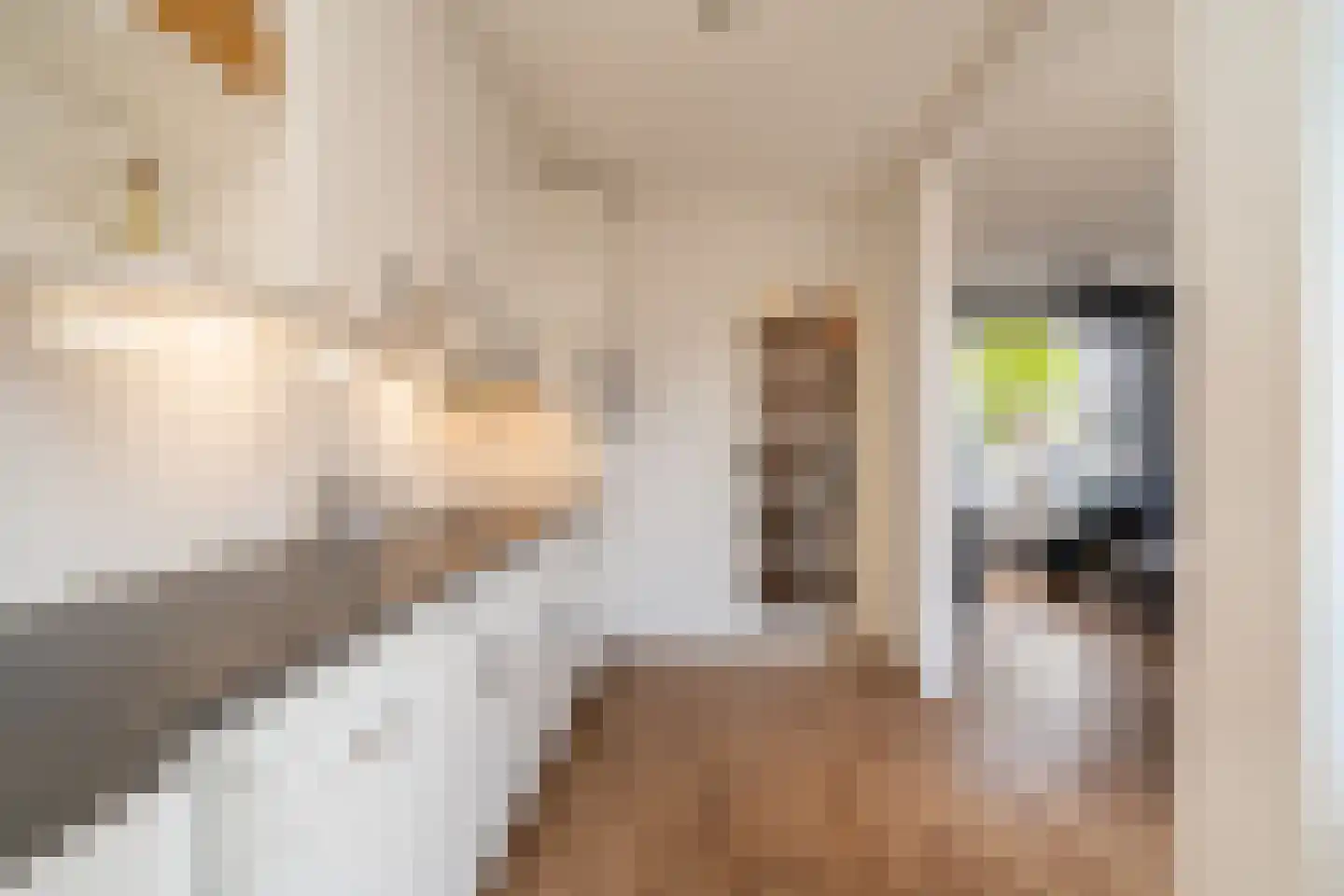 Wieringermeerstraat 6 Enschede thumbnail 17