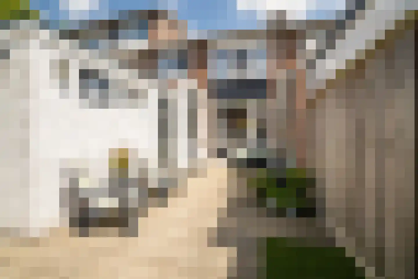 Wieringermeerstraat 6 Enschede thumbnail 27