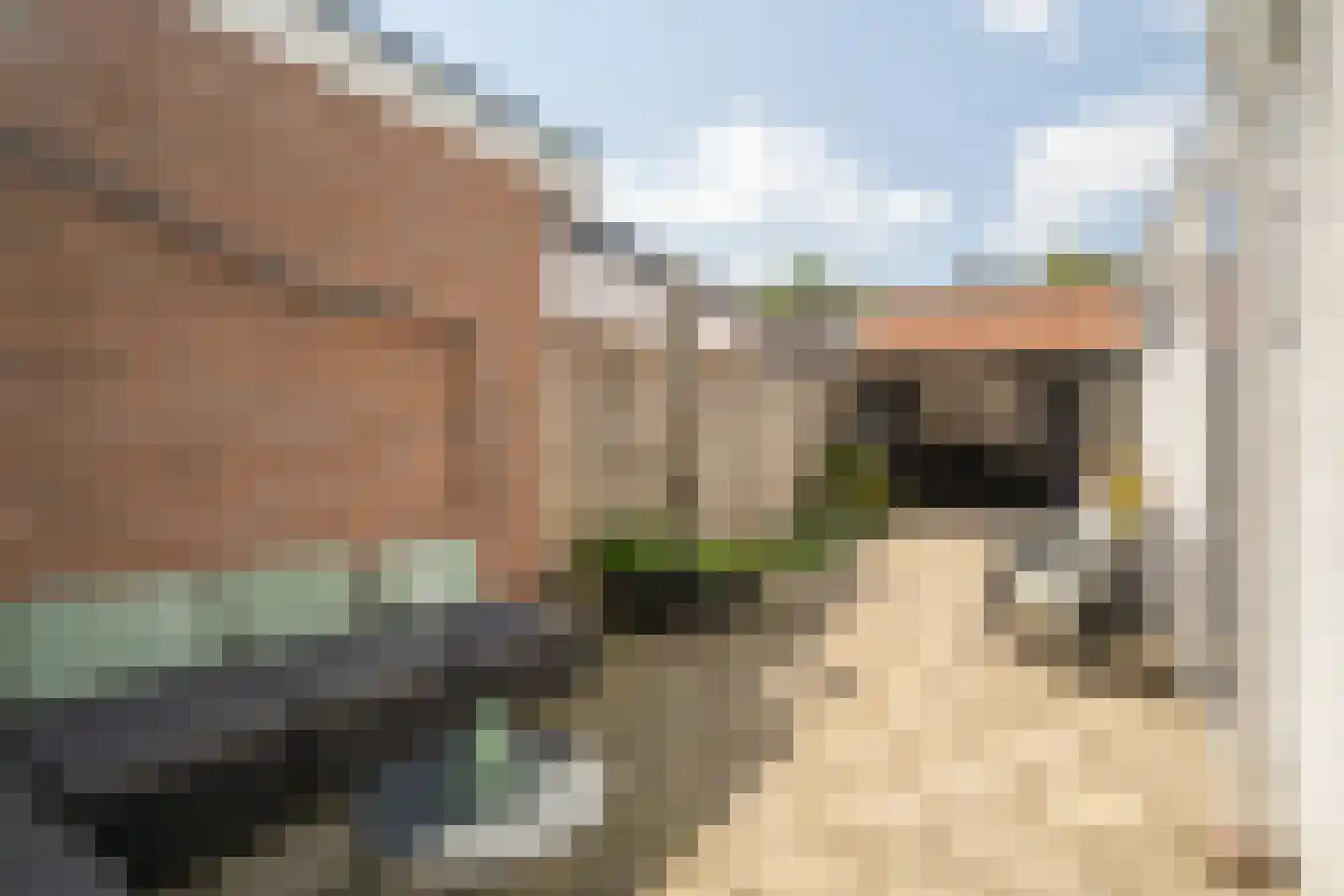 Wieringermeerstraat 6 Enschede thumbnail 28