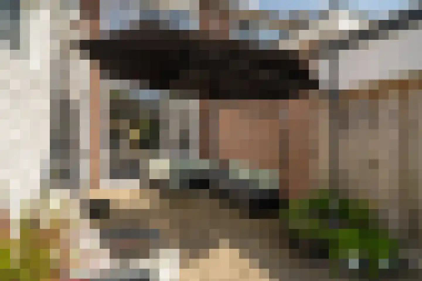 Wieringermeerstraat 6 Enschede thumbnail 35