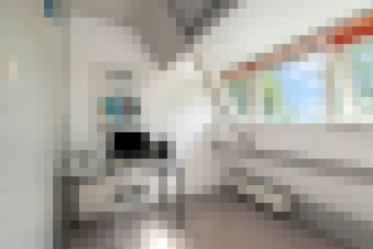 Wieringerrandweg 3 Slootdorp thumbnail 22