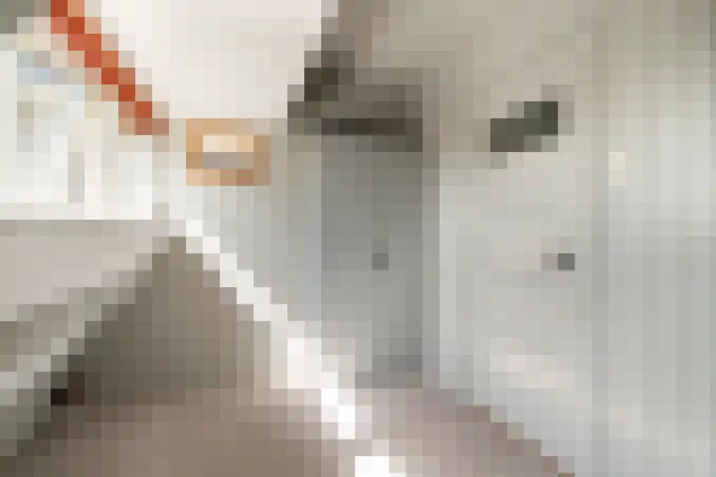 Wieringerrandweg 3 Slootdorp thumbnail 23