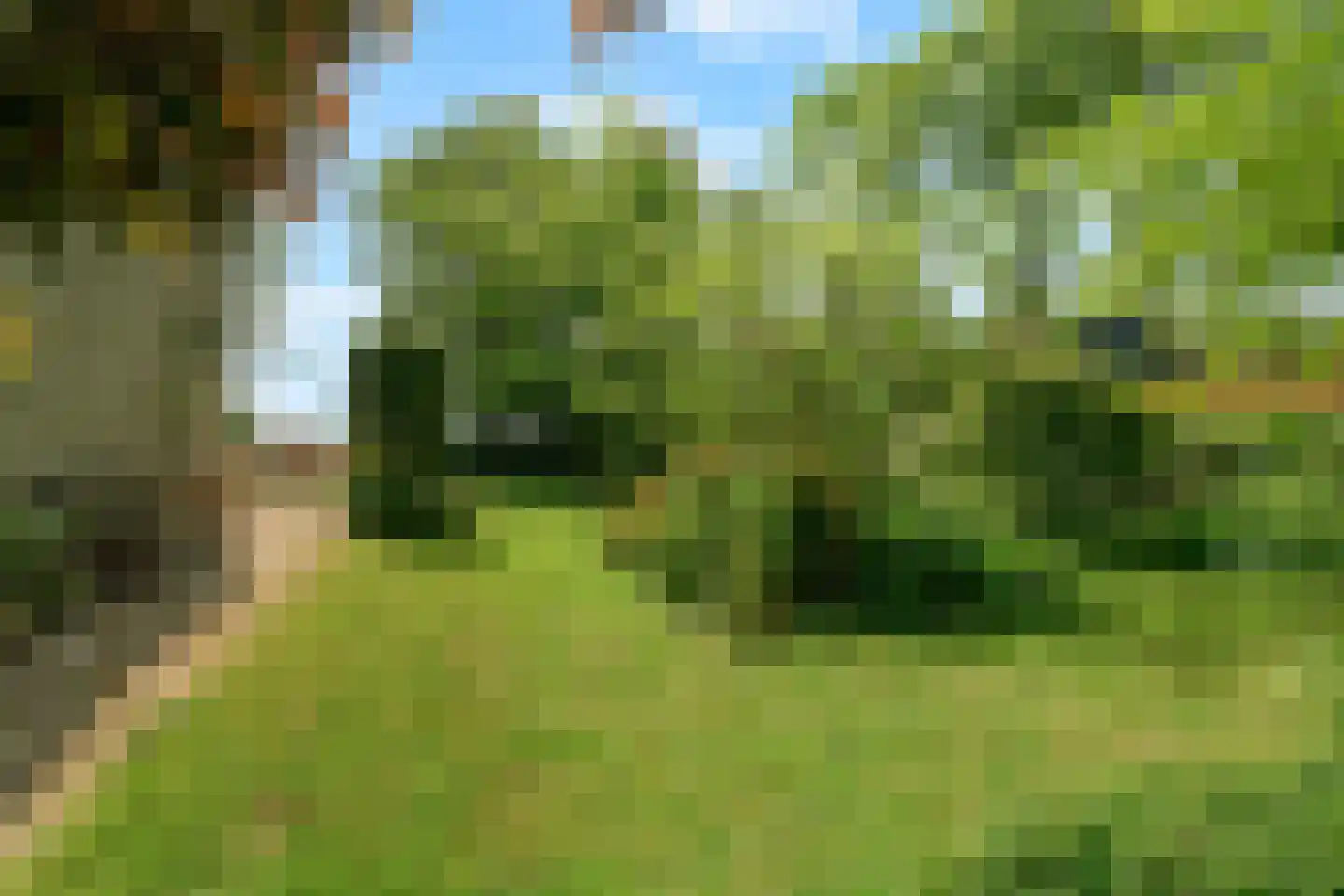 Wieringerrandweg 3 Slootdorp thumbnail 32