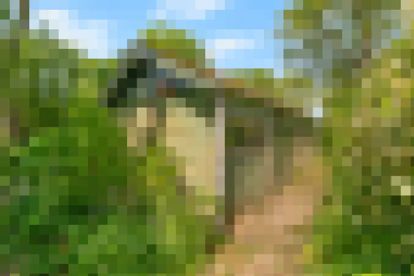 Wieringerrandweg 3 Slootdorp thumbnail 33