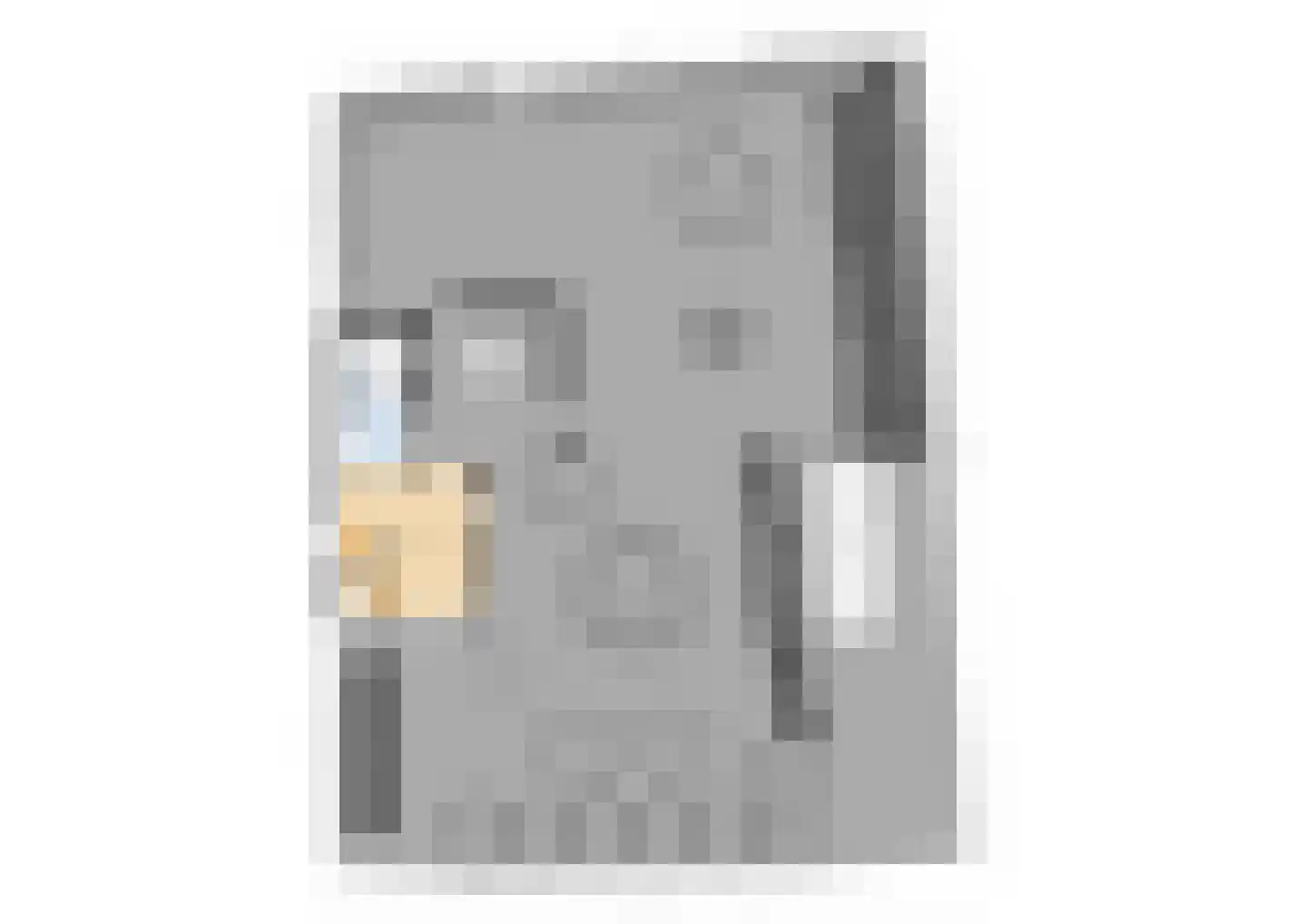 Wieringerrandweg 3 Slootdorp thumbnail 36