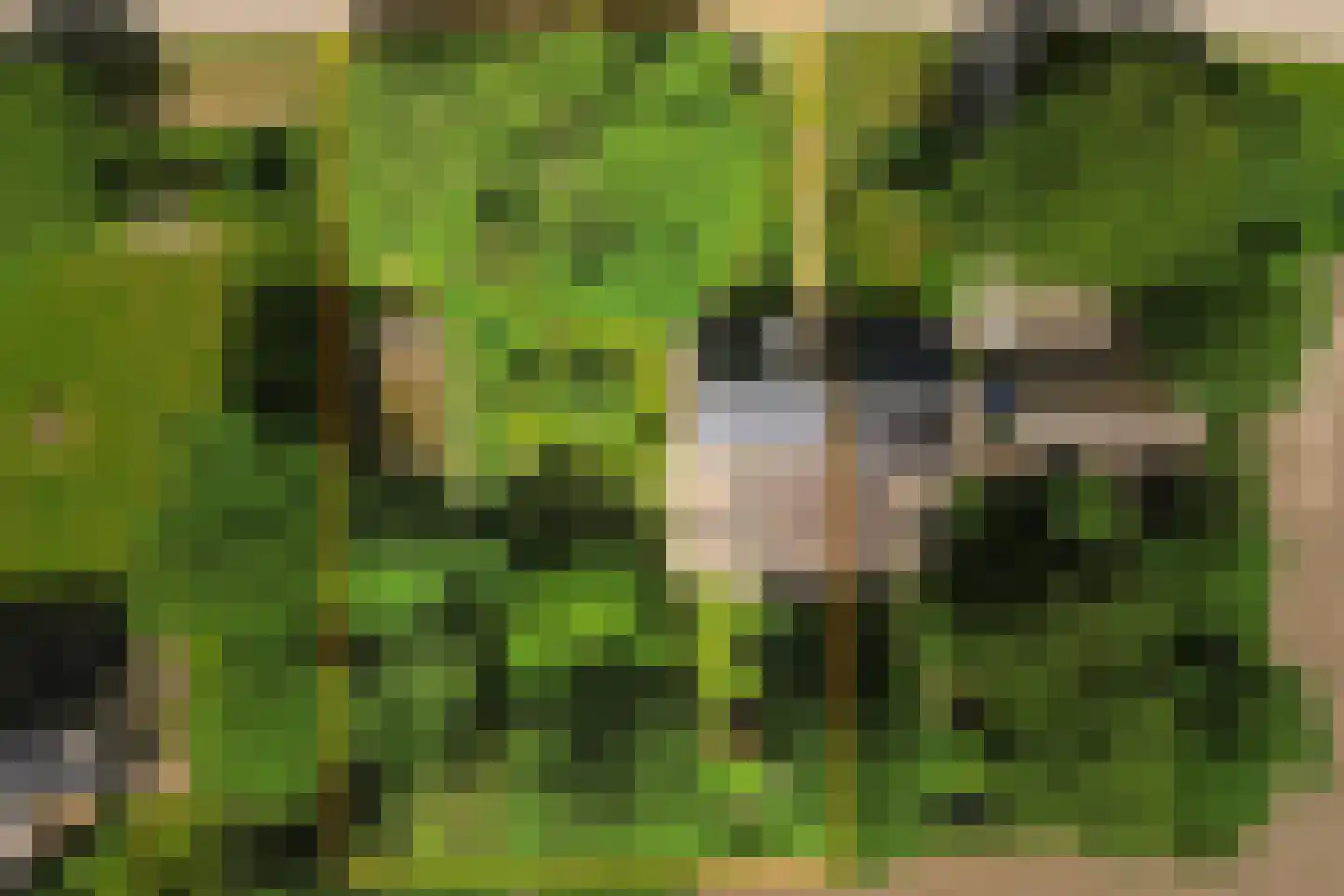 Wieringerrandweg 3 Slootdorp thumbnail 5