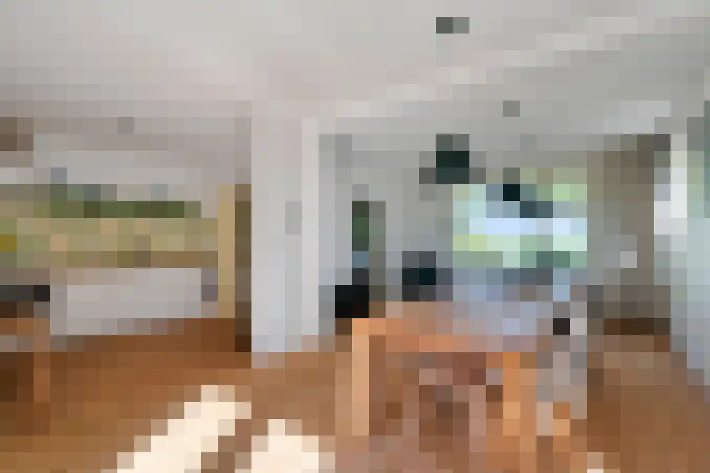 Wieringerrandweg 4 Slootdorp thumbnail 12