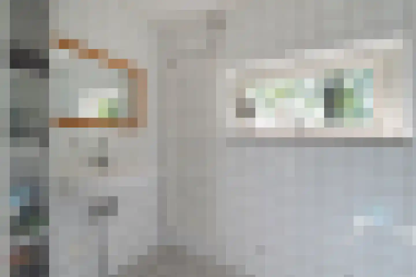Wieringerrandweg 4 Slootdorp thumbnail 18