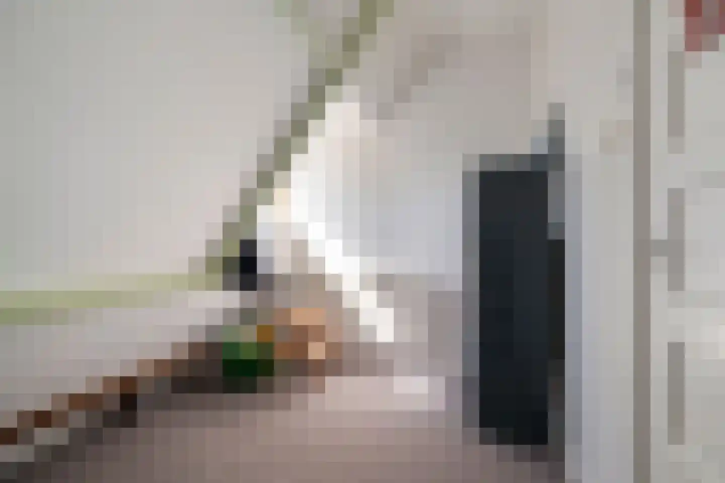 Wieringerrandweg 4 Slootdorp thumbnail 22