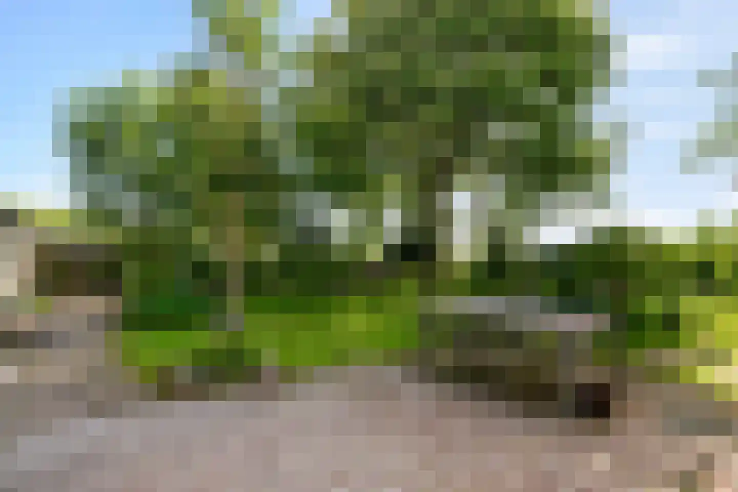 Wieringerrandweg 4 Slootdorp thumbnail 28