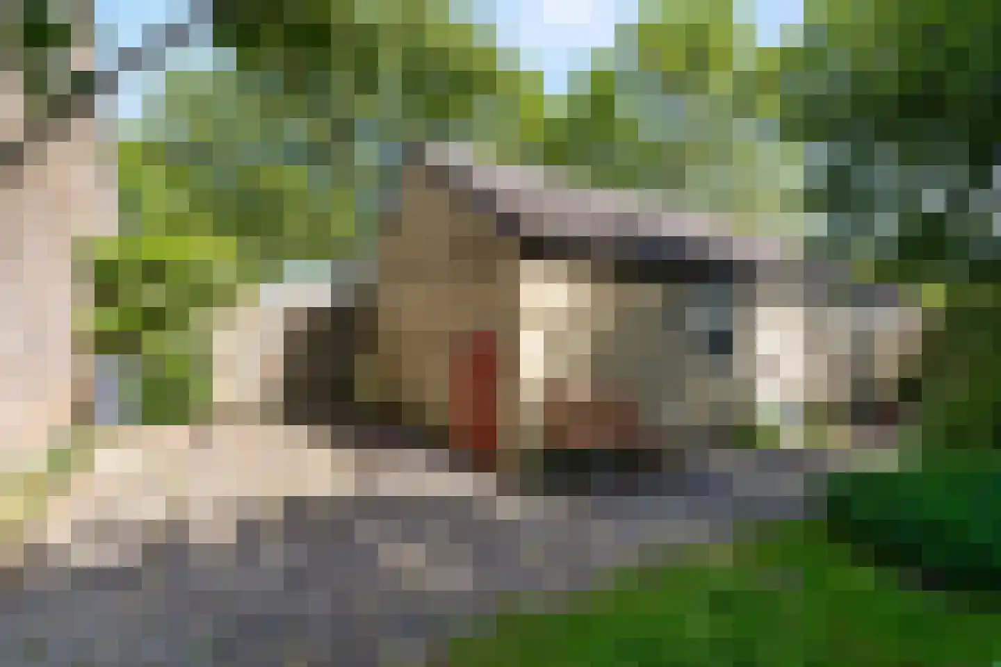Wieringerrandweg 4 Slootdorp thumbnail 29