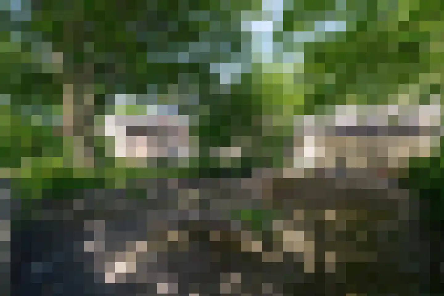 Wieringerrandweg 4 Slootdorp thumbnail 30