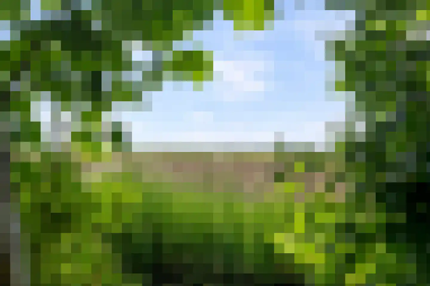 Wieringerrandweg 4 Slootdorp thumbnail 32