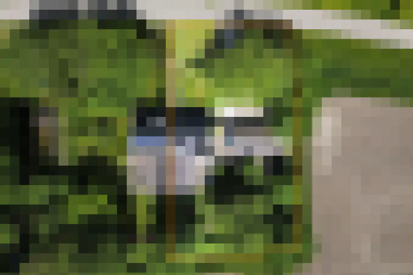 Wieringerrandweg 4 Slootdorp thumbnail 5