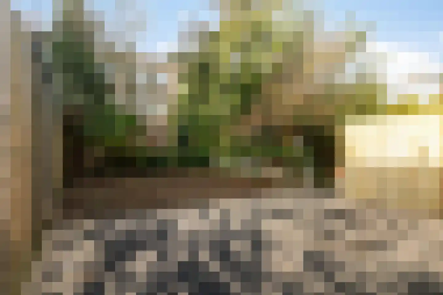 Wieringerstraat 23 C Rotterdam thumbnail 5