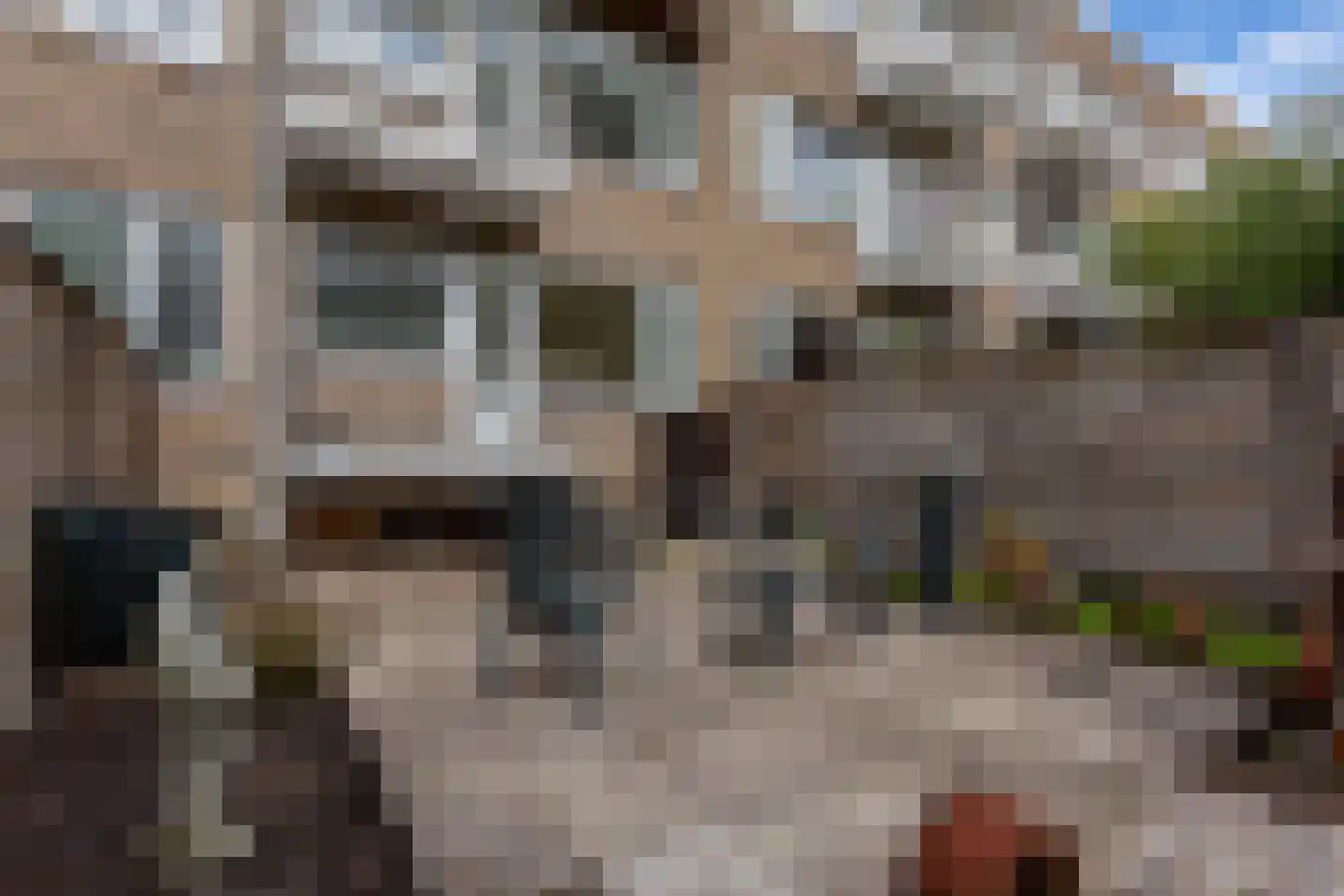 Wieringerstraat 26 B Rotterdam thumbnail 17