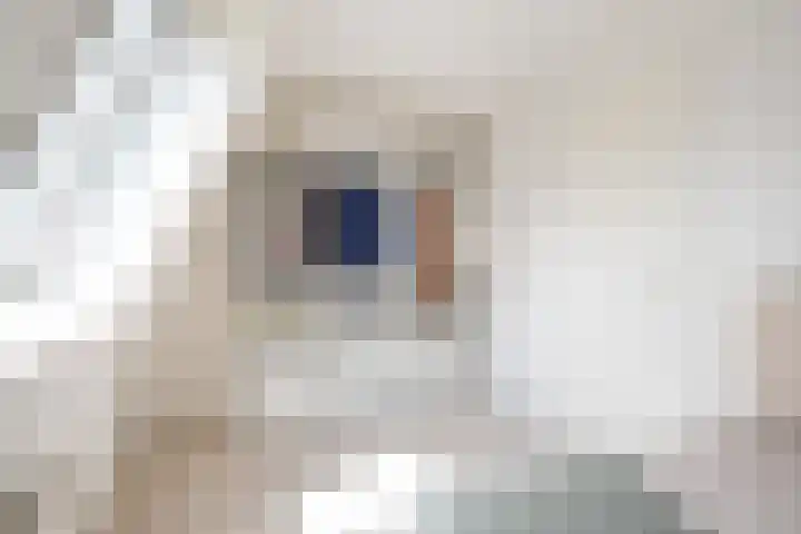 Wieringerstraat 47 St.-Annaparochie thumbnail 32