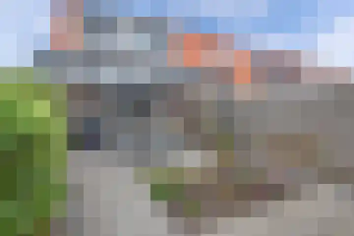 Wieringerstraat 49 St.-Annaparochie thumbnail 38
