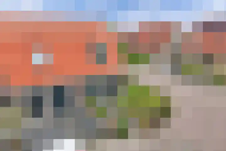 Wieringerstraat 49 St.-Annaparochie thumbnail 55