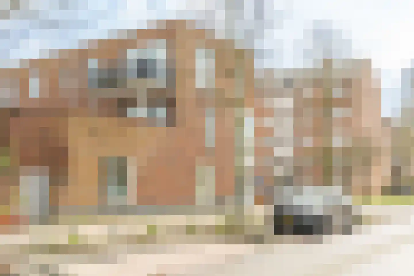 Wieringerwaardstraat 359 Amsterdam thumbnail 26