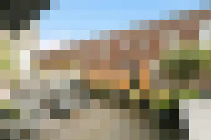 Wieringsestraat 194 Den Haag thumbnail 8
