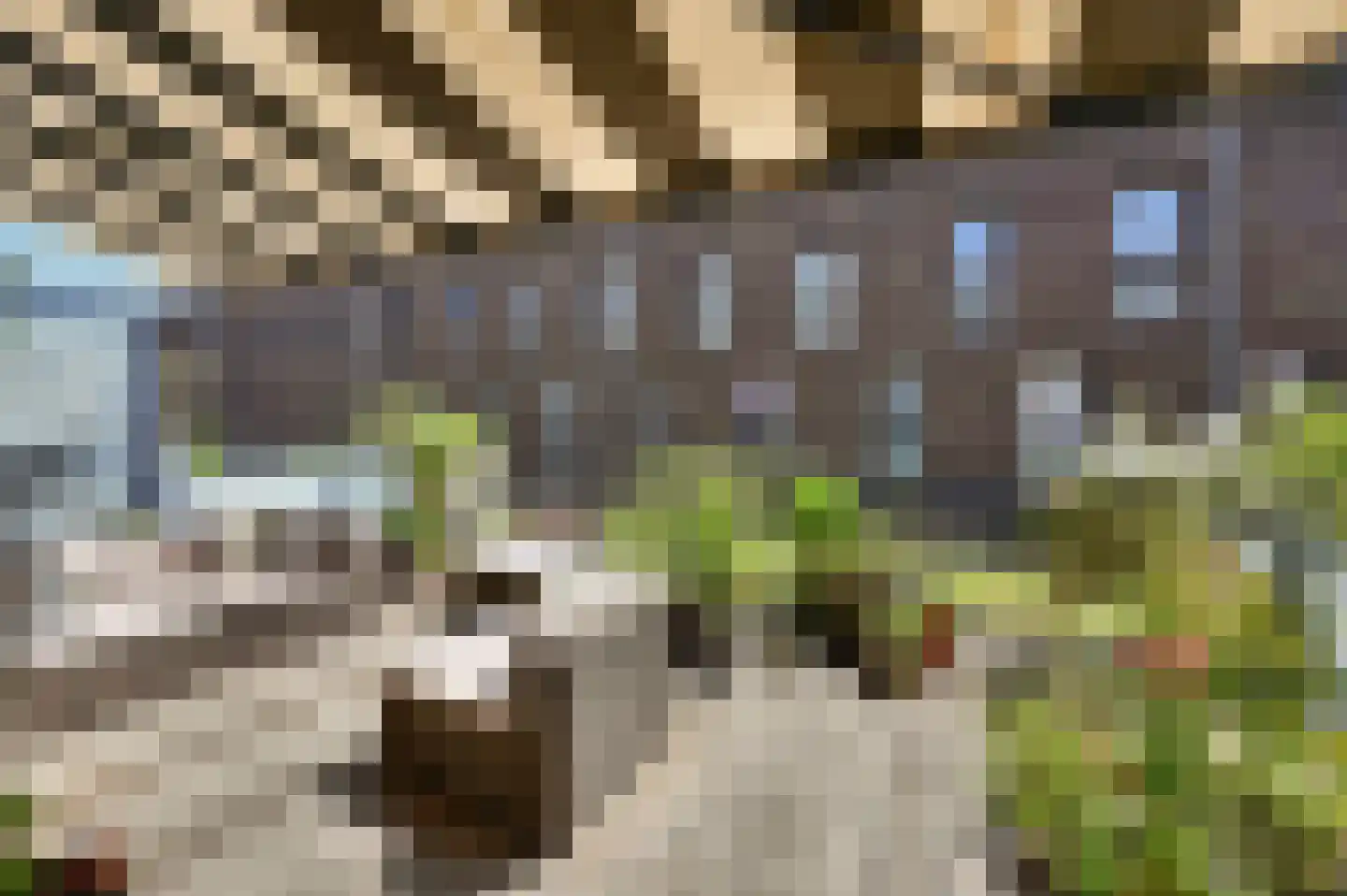 Wieringsestraat 202 Den Haag thumbnail 17