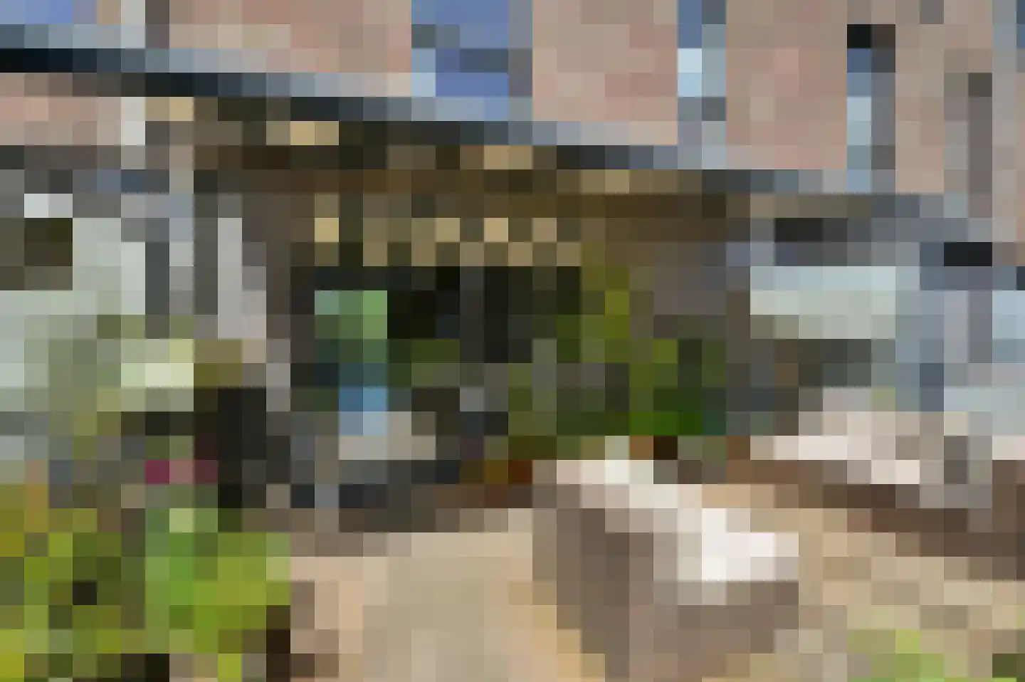 Wieringsestraat 202 Den Haag thumbnail 20