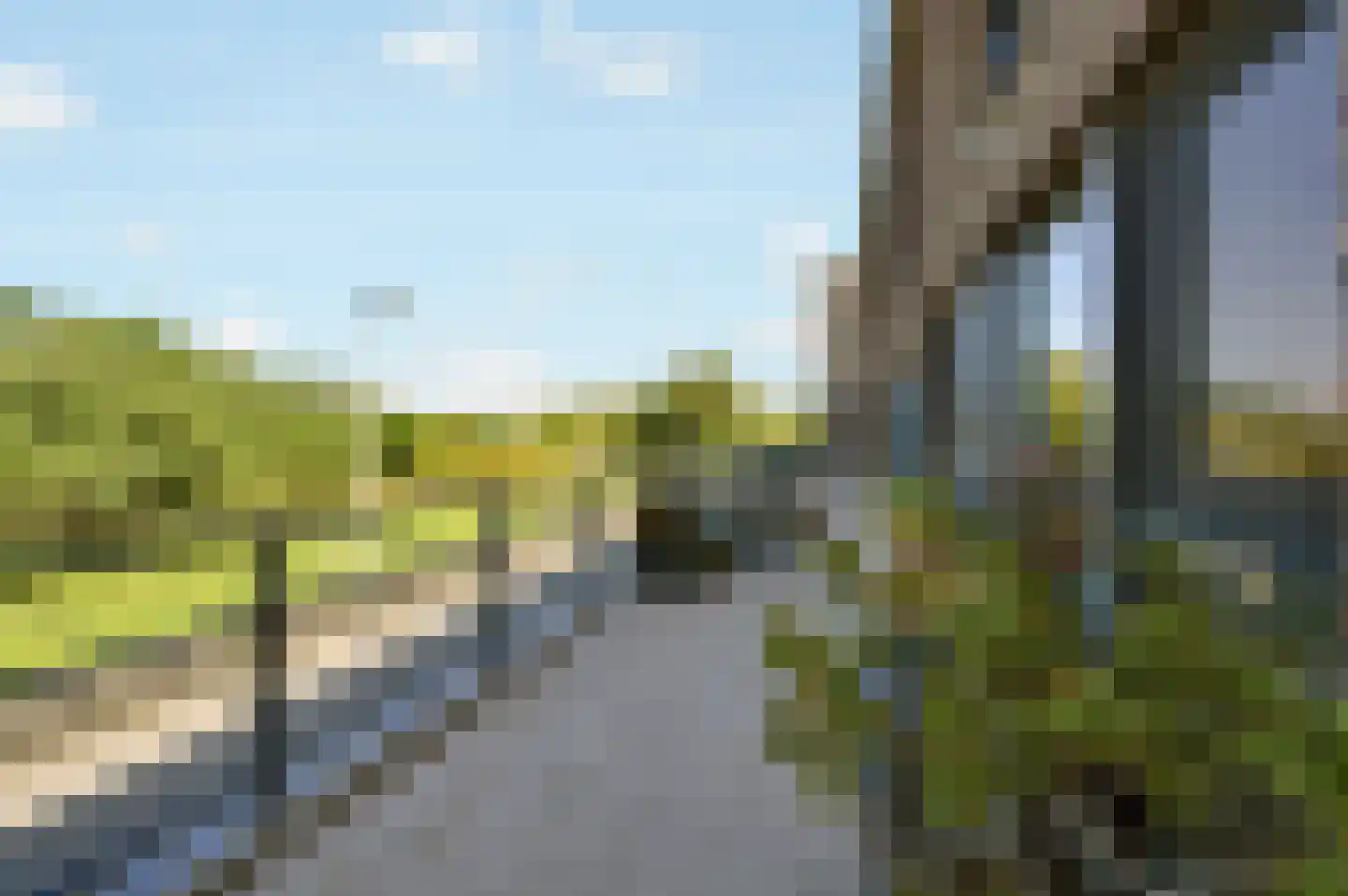 Wieringsestraat 202 Den Haag thumbnail 43
