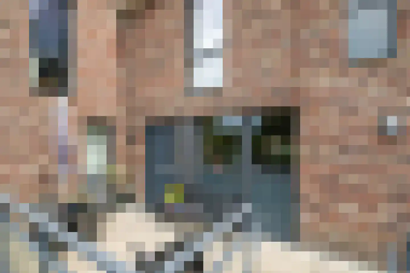 Wieringsestraat 260 Den Haag thumbnail 4