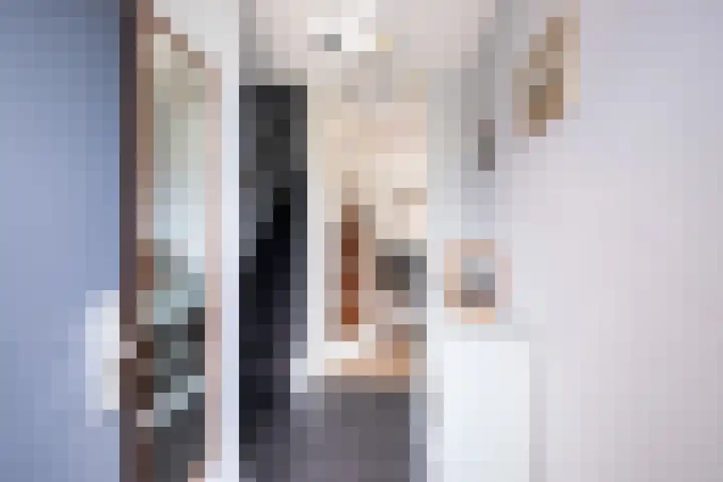 Wieringsestraat 260 Den Haag thumbnail 5
