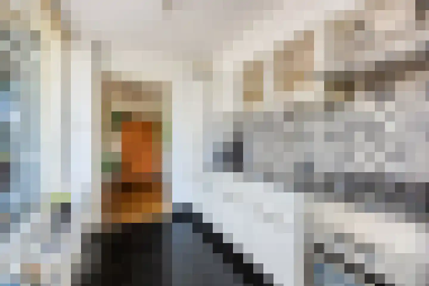 Wieringstraat 29 Zwaag thumbnail 13
