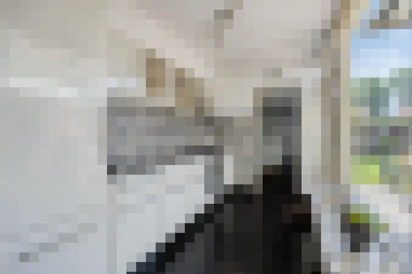 Wieringstraat 29 Zwaag thumbnail 15