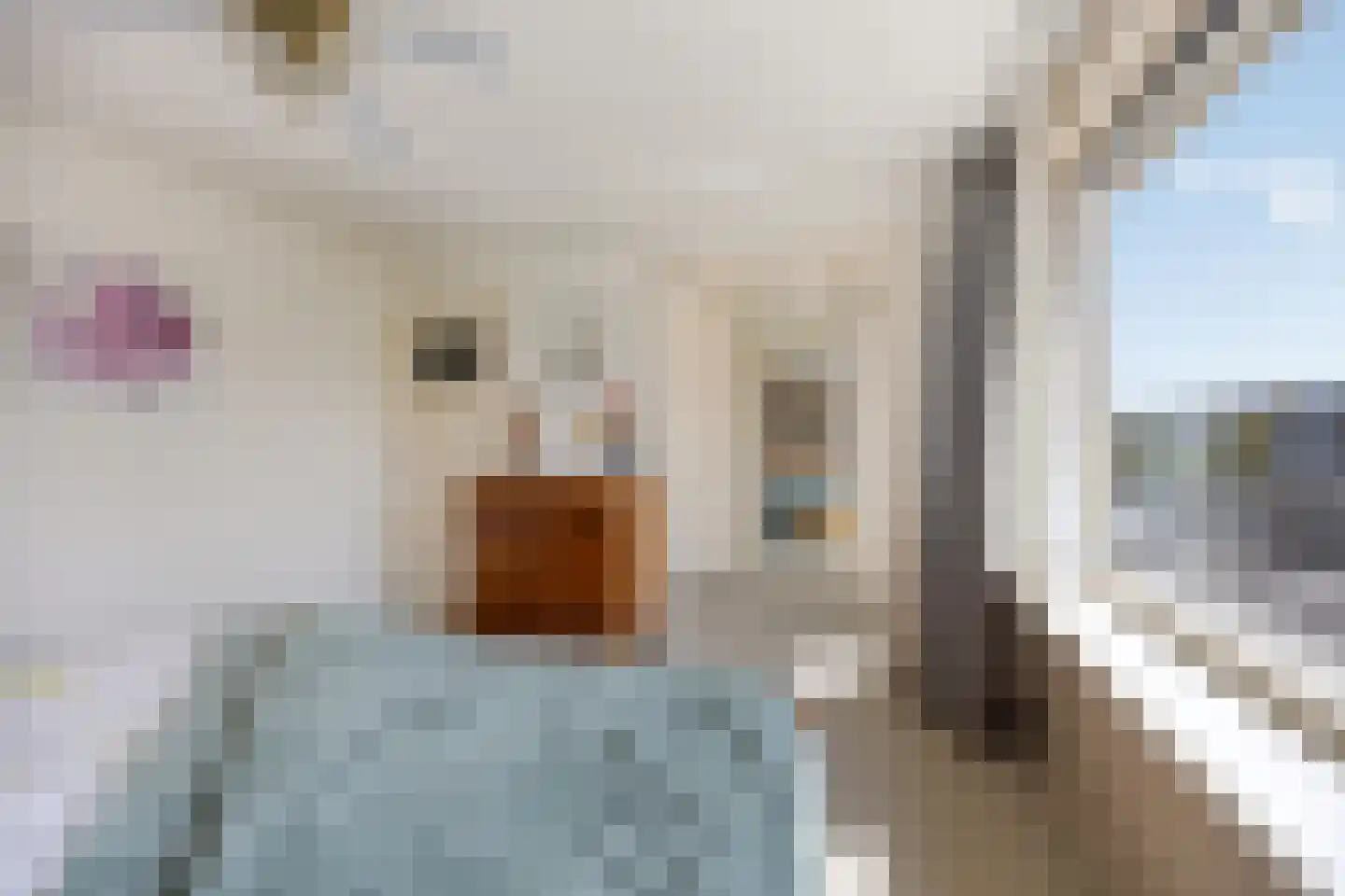 Wieringstraat 29 Zwaag thumbnail 18