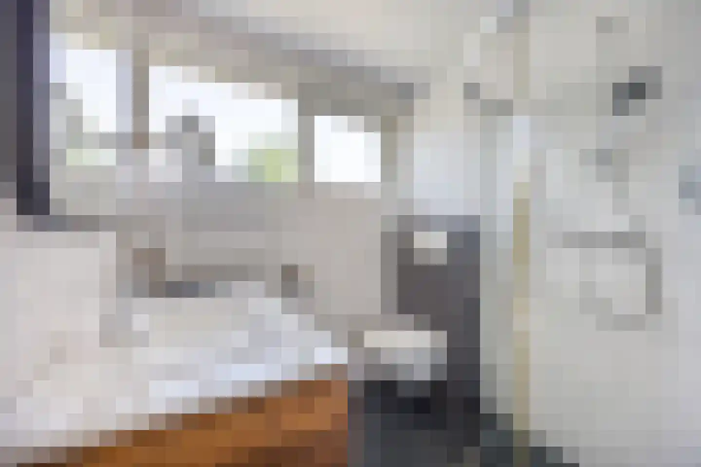 Wieringstraat 29 Zwaag thumbnail 20