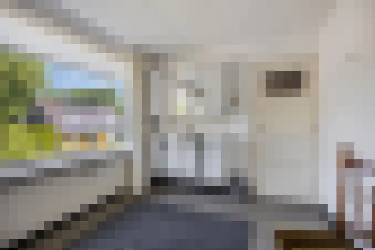 Wieringstraat 29 Zwaag thumbnail 22