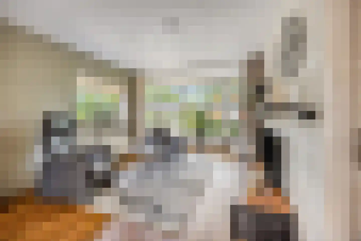 Wieringstraat 29 Zwaag thumbnail 9