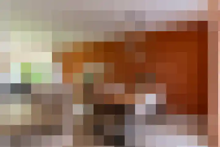 Wierinxwal 5 Werkendam thumbnail 12