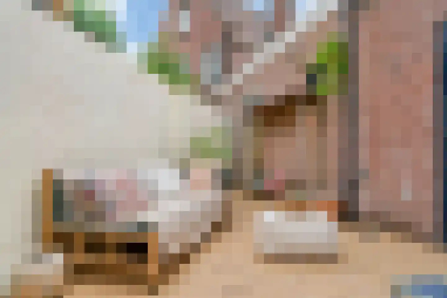 Wierselaan 6 Nieuwegein thumbnail 21