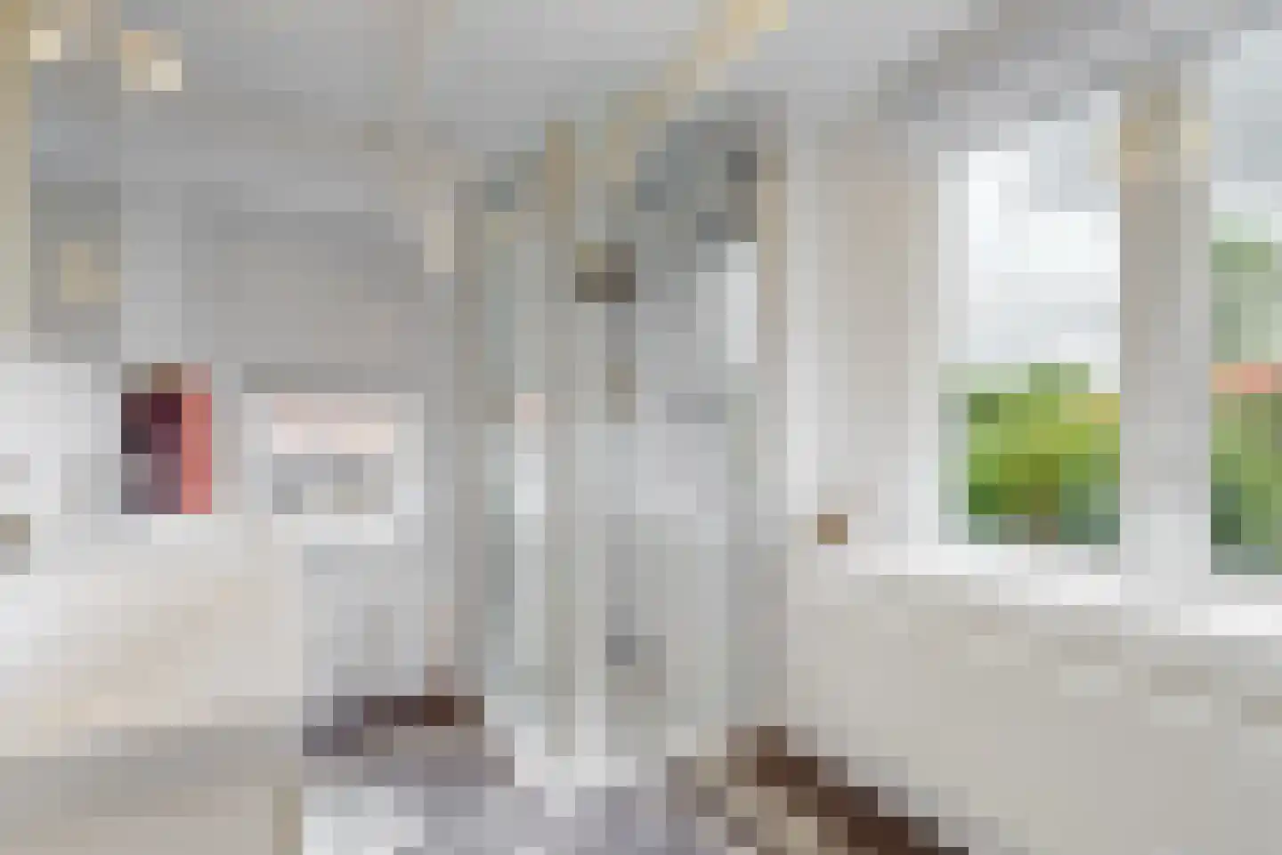 Wierselaan 6 Nieuwegein thumbnail 24