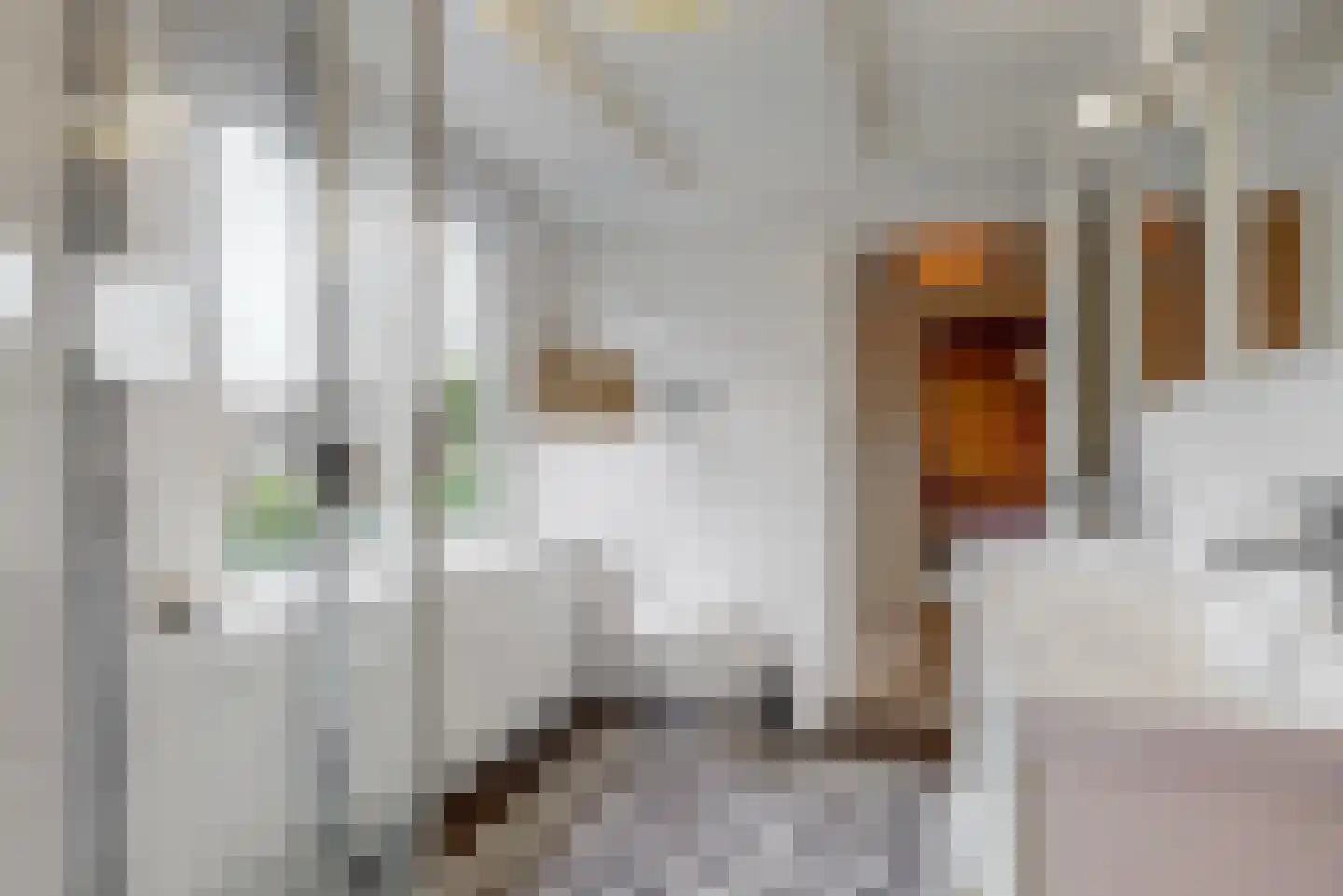 Wierselaan 6 Nieuwegein thumbnail 25