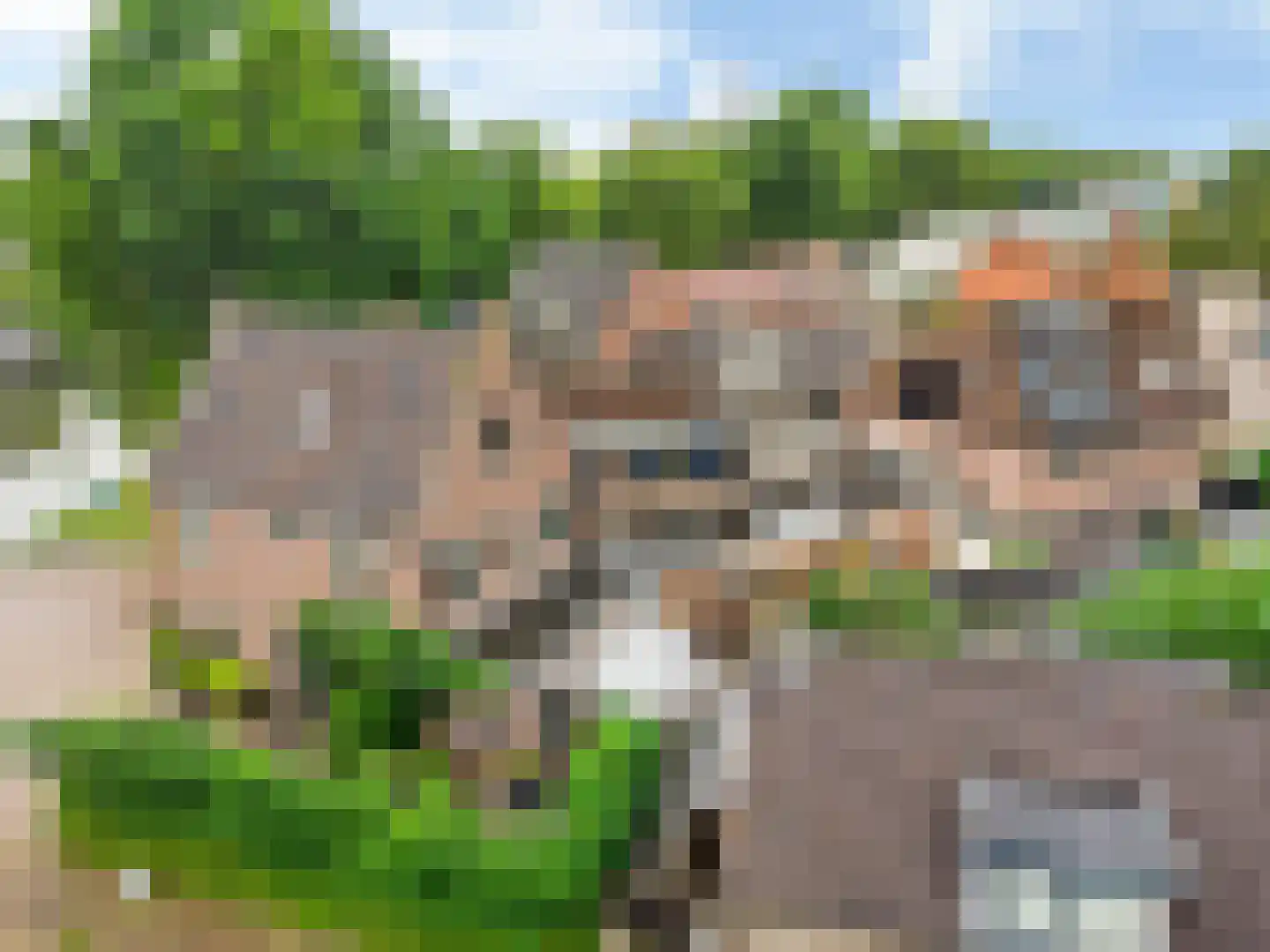 Wierselaan 6 Nieuwegein thumbnail 42