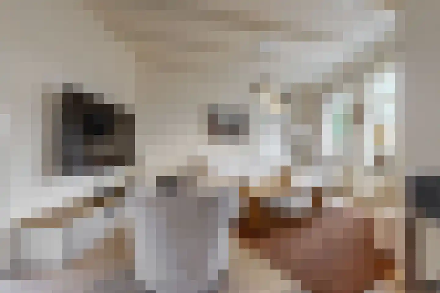 Wierselaan 6 Nieuwegein thumbnail 6