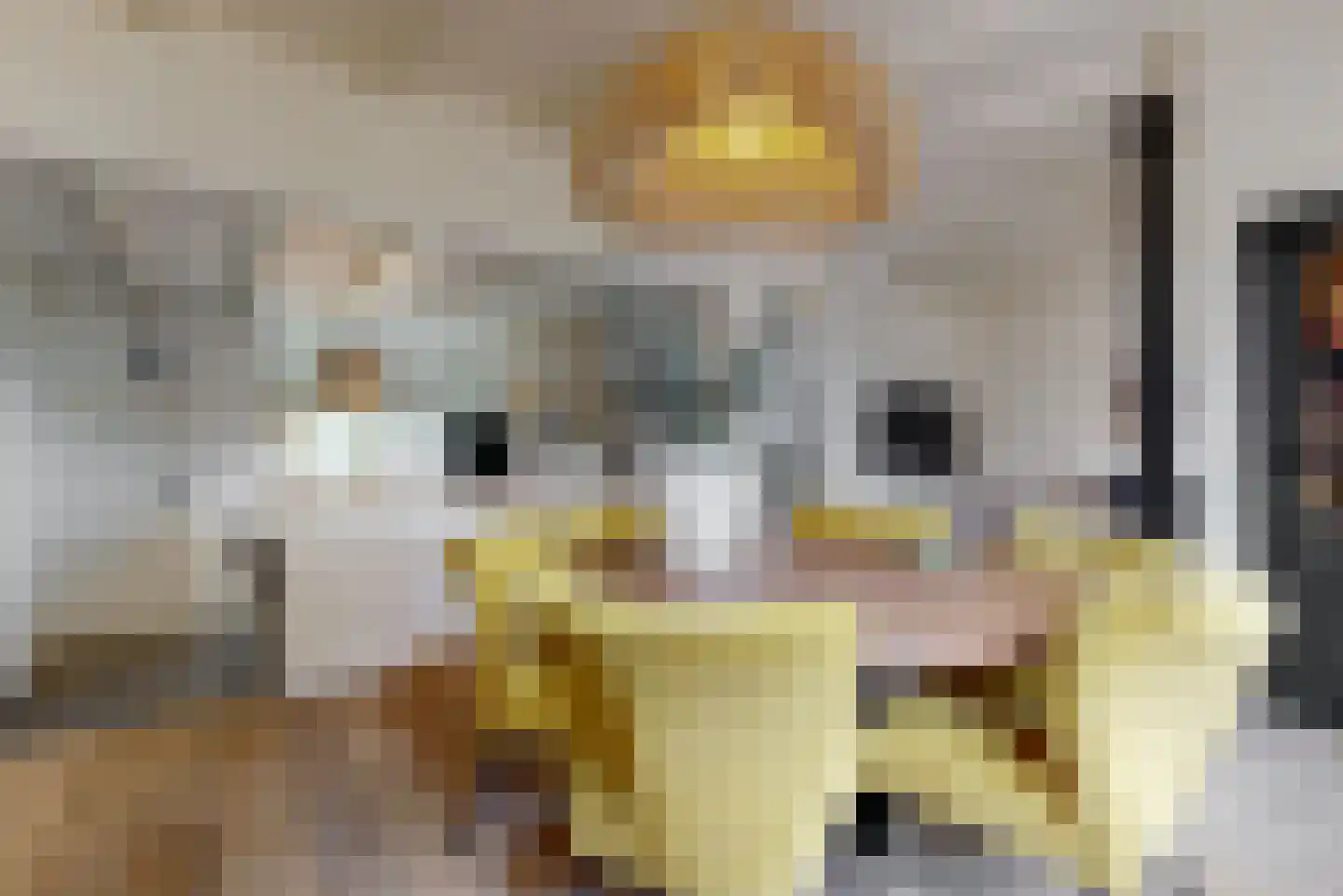 Wierselaan 6 Nieuwegein thumbnail 9